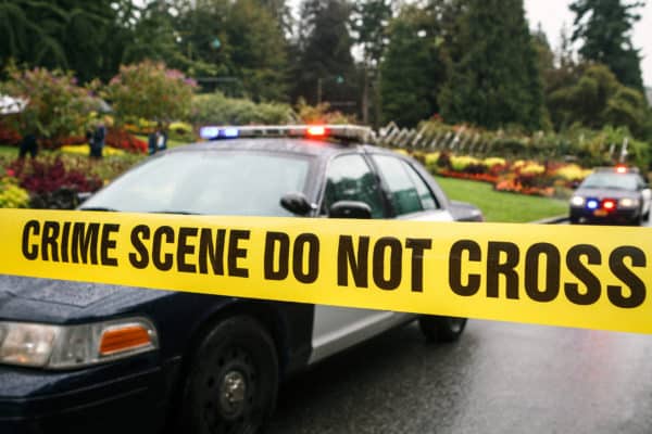 are police consultants real?